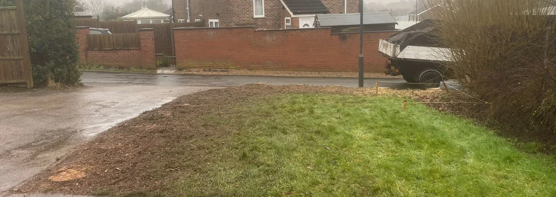 After: Large Hedge & Shrub Removal