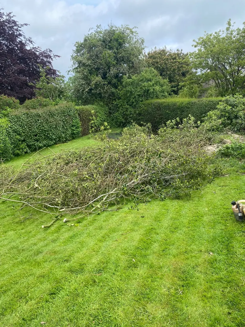Garden clearance illustrative photograph