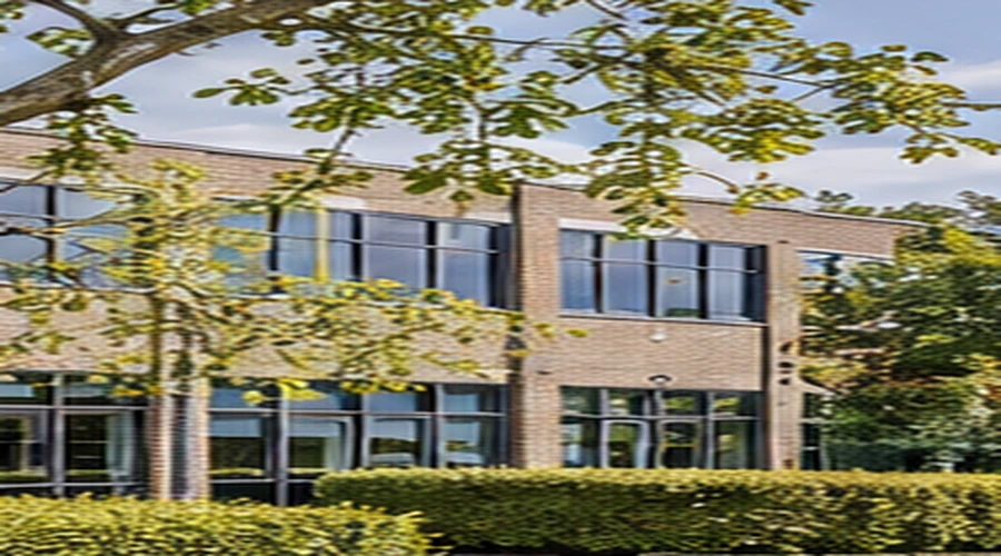 Tree surgeon working alongside a UK office building