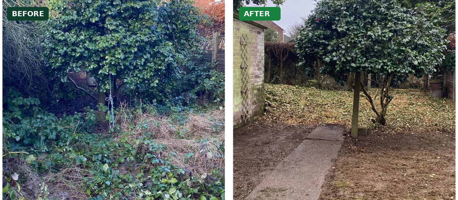 Genuine before and after photographs of a garden tidy-up by Derby Tree and Garden Services