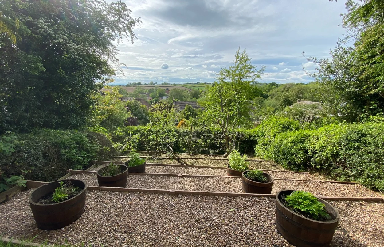 Genuine photograph of a maintained outdoor garden space