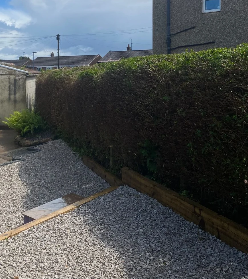 Genuine photograph of hedge maintenance