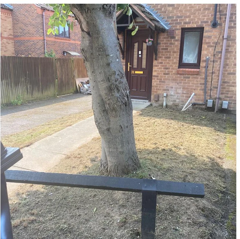 After photograph of Front Garden Clearance