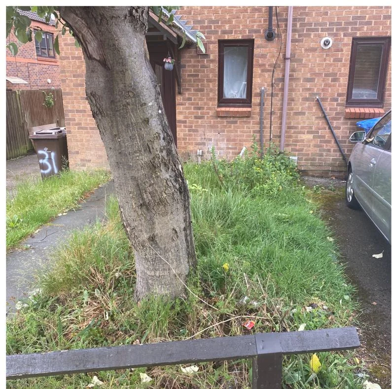 Before photograph of Front Garden Clearance