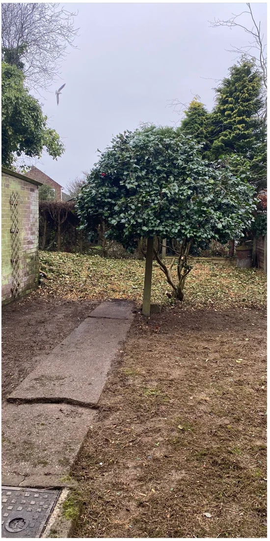 After photograph of Garden Tidy-Up