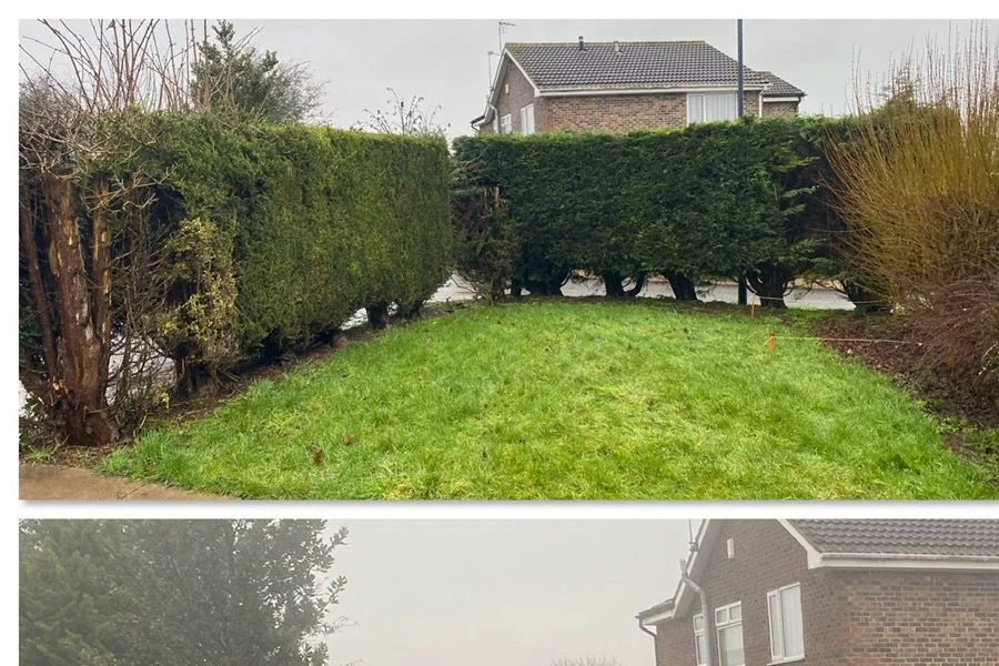 Before photograph of Garden Boundary Clearance